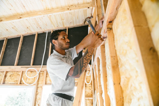 Best Affordable Insulation Services  in Afton, WY