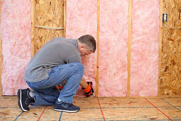 Best Attic Insulation Installation  in Afton, WY