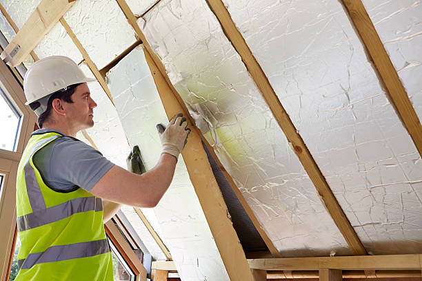 Best Insulation for New Construction  in Afton, WY